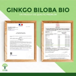 Complément Alimentaire Bio Ginkgo Biloba "mémoire" 60 Gélules -Boutique Ipheos 830622e3cc28d6e6fc45916fac7e1611 9 ginkgo biloba bio 60 gelules complement alimentaire memoire demence vertige amazon france