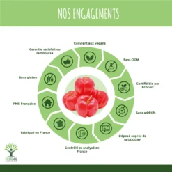 Complément Alimentaire Bio Cerola "anti Fatigue Immunité" 200 Gélules -Boutique Ipheos 9357a654b74d18d9953b12a9fd3a9984 a5 acerola bio 200 gelules complement alimentaire gelule energie vitamine c extrait france