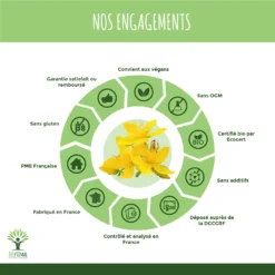 Complément Alimentaire Bio Millepertuis "stress Anxiété" 60 Gélules -Boutique Ipheos 97233845ae5f16cff162425c065d41e7 4 millepertuis bioptimal complement alimentaire bio cure 1 mois fabrique en france certifie par ecocert 60 gelules