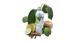 Après-shampoing Revitalisant Bio Concentré Pour Cheveux Secs - 200ml