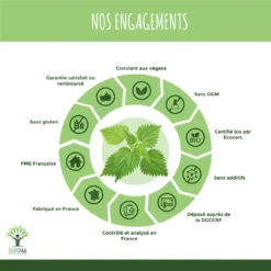 Complément Alimentaire Bio à L'ortie "articulation Et Peau" 60 Gélules