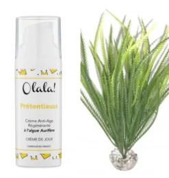 Crème Visage Dejour Bio Anti âge "Prétentieuse" à Algue Aurifère -Boutique Ipheos 9a01c9c120d0dd15cd62bac0a5d370ef anti age 2