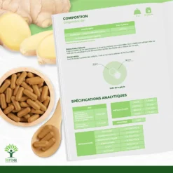 Complément Alimentaire Bio Gingembre "énergie Sexualité" 60 Gélules -Boutique Ipheos a08510ded3fadad0a30170183c1bfedd 8 gingembre bio 60 gelules complement alimentaire energie digestion sexualite racine amazon france