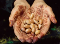 Après-shampoing Bio Concentré - 100% Naturel - Cheveux Normaux - 200ml -Boutique Ipheos a0a7c357e838765999bee786902ba82f 4webp