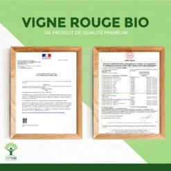 Vigne Rouge Bio - Complément Alimentaire - Vegan -Boutique Ipheos a4623c6d8ddc5f7c894aa7c21150dc62 9 vigne rouge bio bioptimal complement alimentaire peau saine jambes lourdes made in france certifie par ecocert 60 gelules