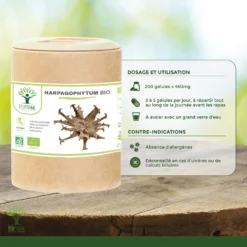 Complément Alimentaire Bio Harpagophytum "articulation" 200 Gélules -Boutique Ipheos a4cfdf8e30724fef92db06e219574f5f 4 harpagophytum bio en gelules complement alimentaire articulations anti inflammatoire amazon fr 200gl 2