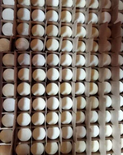 Shampoing Solide équilibrant Certifié Bio - Cheveux Secs Et Normaux -Boutique Ipheos a5355112efa73066ab38d4bd0be5e15e 17jpg