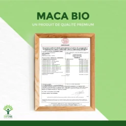 Complément Alimentaire Bio Au Maca Jaune "énergie Sexualité" 300g -Boutique Ipheos a7a3b3ac7f13de278f1f3720df35e904 9 maca bio bioptimal bcaa complement alimentaire superaliment poudre energie fertilite aphrodisiaque 100 g