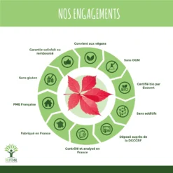 Vigne Rouge Bio - Complément Alimentaire - Vegan -Boutique Ipheos a88dadde69c249438a94b2509f5a6da8 4 vigne rouge bio bioptimal complement alimentaire peau saine jambes lourdes made in france certifie par ecocert 60 gelules engagements