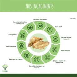 Complément Alimentaire Bio Levure De Riz "énergie Sexualité" 200 Gélules -Boutique Ipheos a8ee3409b7367162be7ad5e0975a56c6 4 maca bio bioptimal bcaa complement alimentaire superaliment energie fertilite aphrodisiaque certifie ecocert 200 gelules vertus engagement