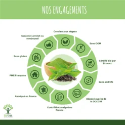 Thé Minceur Brûle Graisse , Thé Vert Bio "Perte De Poids" 200 Gélules -Boutique Ipheos abc02e2da5e277a4c31ccbef596b9016 4 poudre de moringa bio bioptimal complement alimentaire oleifera fatigue vitamine a c e made in france engagement