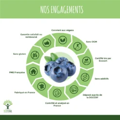 Complément Alimentaire Bio à La Myrtille "clarté Visuelle" 200 Gélules -Boutique Ipheos aec63644841327a3d12e47014caf321c 4 myrtille bio bioptimal complement alimentaire clarte visuelle vision yeux fabrique en france certifie par ecocert 60 gelules