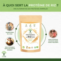 Complément Alimentaire "Protéine De Riz Bio " Sport 500g Ecocert -Boutique Ipheos aff020b73c13df5fc1bbb550a1d6d1ca 2 proteine de riz bioptimal bcaa poudre de riz whey vegetale 100 pure 80 de proteines 12 de bcaa made in france certifie ecocert 500g bienfaits