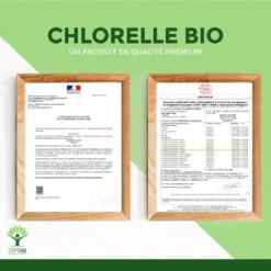 Complément Alimentaire Bio 100% Poudre "Chlorelle" 150 Comprimés -Boutique Ipheos b092b51a474448dd9c5e56963fb7b383 9 chlorella bio bioptimal complement alimentaire proteine vitamine b12 superaliment conditionne en france certifie ecocert bienfaits 150 comprimes