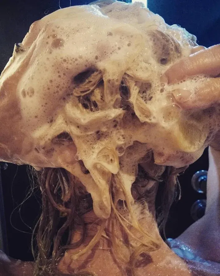 Rinçage Capillaire Revitalisant Bio Concentré - 200 Ml - Cheveux Gras 3 Rinçage Capillaire Revitalisant Bio Concentré - 200 Ml - Cheveux Gras – Image 3