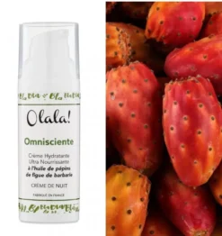 Crème Nuit Femme Biofait En France