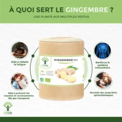 Stimulant Sexuelgingembre "énergie Sexualité"Complément Alimentaire 200 Gélules -Boutique Ipheos b9eb6f855155ce09eda64c4d3c4b2da7 2 gingembre bio 200 gelules complement alimentaire energie digestion sexualite racine amazon fr