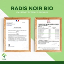 Détox Foie Au Radis Noir BioComplément Alimentaire60 Gélules -Boutique Ipheos cf6919c6b853ed6ee4d5029fed1d1a24 9 radis noir bio 60 gelules complement alimentaire detox foie cholesterol digestion bioptimal nutrition naturelle fabrique en france