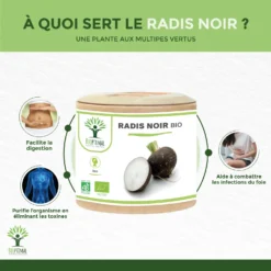 Détox Foie Au Radis Noir BioComplément Alimentaire60 Gélules -Boutique Ipheos d19a683235e09e10ae59f59daed30a06 2 radis noir bio 60 gelules complement alimentaire detox foie cholesterol digestion bioptimal nutrition naturelle bienfaits