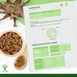 Complément Alimentaire Bio Harpagophytum "articulation" 200 Gélules -Boutique Ipheos d5ad4c37cd878a438a83f3f68ad819a6 8 harpagophytum bio 200 gelules complement alimentaire articulations anti inflammatoire amazon fr