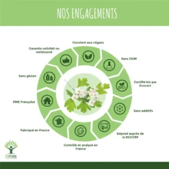 Bio Aubépine "stress Sommeil " Complément Alimentaire 60 Gélules -Boutique Ipheos d8c7e5ef227ebbc8ff08d8345e20c9d3 5 fleur daubepine bio en gelule complement alimentaire detente sommeil anti stress amazon france