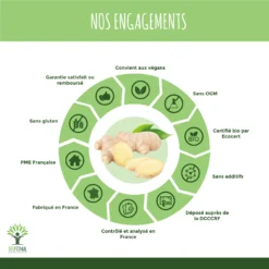 Stimulant Sexuelgingembre "énergie Sexualité"Complément Alimentaire 200 Gélules -Boutique Ipheos d8da10577d100637e16298f7cd2511a9 5 gingembre bio 60 gelules complement alimentaire energie digestion sexualite racine amazon fr