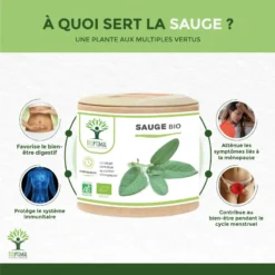 "ménopause" Complément Alimentaire à La Sauge Bio60 Gélules -Boutique Ipheos d9fa44b7bd3e6272b433c8bcc0de1c7e 2 sauge bio bioptimal complement alimentaire menopause bouffees de chaleur regles douloureuses digestion made in france certifie par ecocert