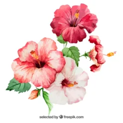 Savon Solide Certifié Bio - Patchouli Aux Fleurs D'hibiscus - 90g -Boutique Ipheos e129a2841147e3a9d0dd012cff5f1a8b 11webp