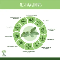 "ménopause" Complément Alimentaire à La Sauge Bio60 Gélules -Boutique Ipheos e14a493b92b7f211d0e8cb31778f41ac 4 sauge bio bioptimal complement alimentaire menopause bouffees de chaleur regles douloureuses digestion made in france engagements
