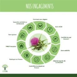 Chardon Marie Pur "détox" 60 Gélules Complément Alimentaire Bio -Boutique Ipheos e41177079d0afafece4f51264245412b 5 chardon marie bio 60 gelules detox racine feuille fleur france