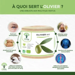 Complément Alimentaire Bio à L'olivier "hypertension" 60 Gélules -Boutique Ipheos ea2cf0269e060542fc72ac75bb69d073 2 olivier bio 60 gelules complement alimentaire circulation sanguine hypertension bioptimal nutrition naturelle fabrique en france
