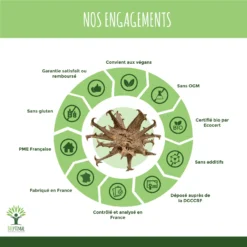 Complément Alimentaire Bio Harpagophytum "articulation" 200 Gélules -Boutique Ipheos ece8d42d41c4f8ead43b72468cc81c5a 5 harpagophytum bio en gelules complement alimentaire articulations anti inflammatoire amazon fr