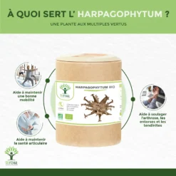 Complément Alimentaire Bio Harpagophytum "articulation" 200 Gélules -Boutique Ipheos ef59463fe21c7fc6ec2861f7b6c70c2b 2 harpagophytum bio en gelules complement alimentaire articulations anti inflammatoire amazon fr 200gl