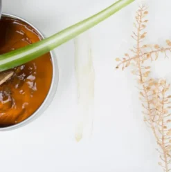 Savon Nettoyant Antibactérien Naturel Bio "Mousse Elixir De Savon" -Boutique Ipheos efd3f887b4d6b0e5bb712d482ca7f4e6 elixir 2