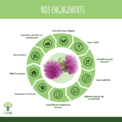 Complément Alimentaire Bio Barbane "peau Grasse Acné" 60 Gélules -Boutique Ipheos f89bab3ebbb56f34abff3db149d54fe4 5 bardane bio en gelule 60 gelules complement alimentaire peau grasse amazon france