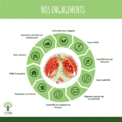 Autobronzant Naturel Bio Complément Alimentairevegan 200 Gélules -Boutique Ipheos fad7da72f7876164f61c166fafb69af2 5 bronzage bio 60 gelules complement alimentaire autobronzant naturel teint hale preparation au soleil peau uv urucum amazon