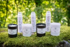 Coffret Soin Visage La Gamme Complète Noisette